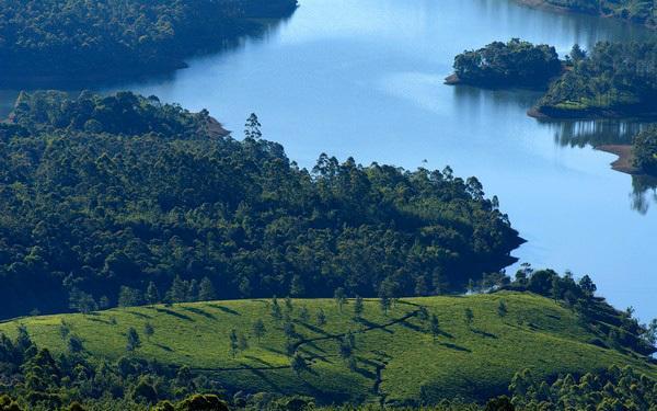 Munnar Dreams Hotel Esterno foto